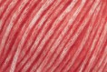 /album/fotogaleria-cotton-merino/cotton-merino-109-jpg1/